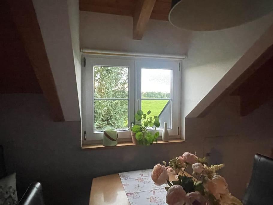 Apartament Panorama Saentisblick Hergatz Zewnętrze zdjęcie