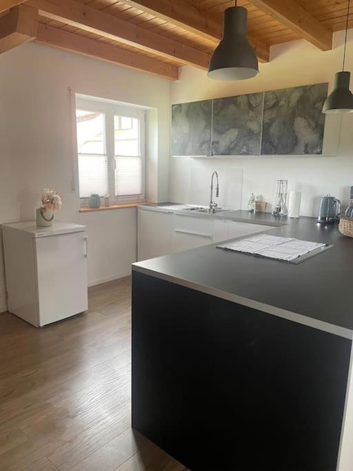 Apartament Panorama Saentisblick Hergatz Zewnętrze zdjęcie