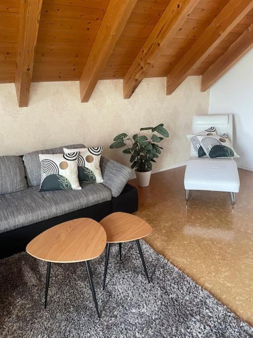 Apartament Panorama Saentisblick Hergatz Zewnętrze zdjęcie